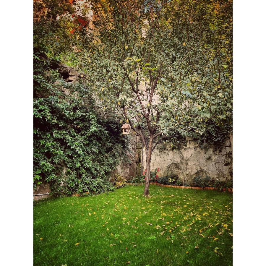 Casa Vayu - & Garden