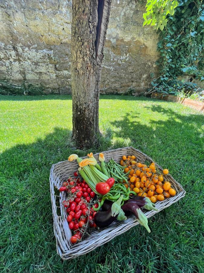 Casa Vayu - & Garden * Napoli
